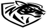 Ilbirs eSports logo