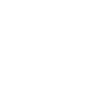 L1 TEAM logo