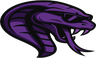 Team Cobra logo