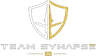 Team Synapse logo